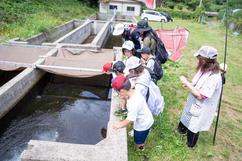 チョウザメの養殖を見学に来た南相木小学校の1年生たち